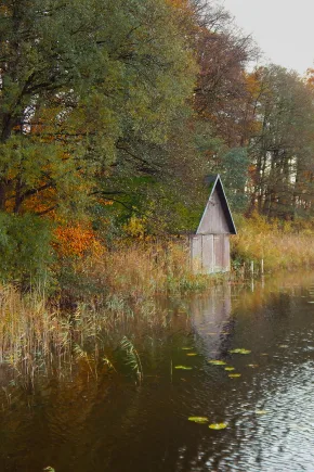 Ein kleines Naturbeobachtungs Haus welches in einem Moorprojekt im Wald steht